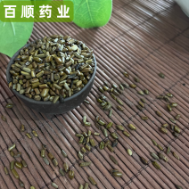 精品决明子批发零售药用花茶枕头填充沙池均可