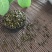 精品决明子批发零售药用花茶枕头填充沙池均可