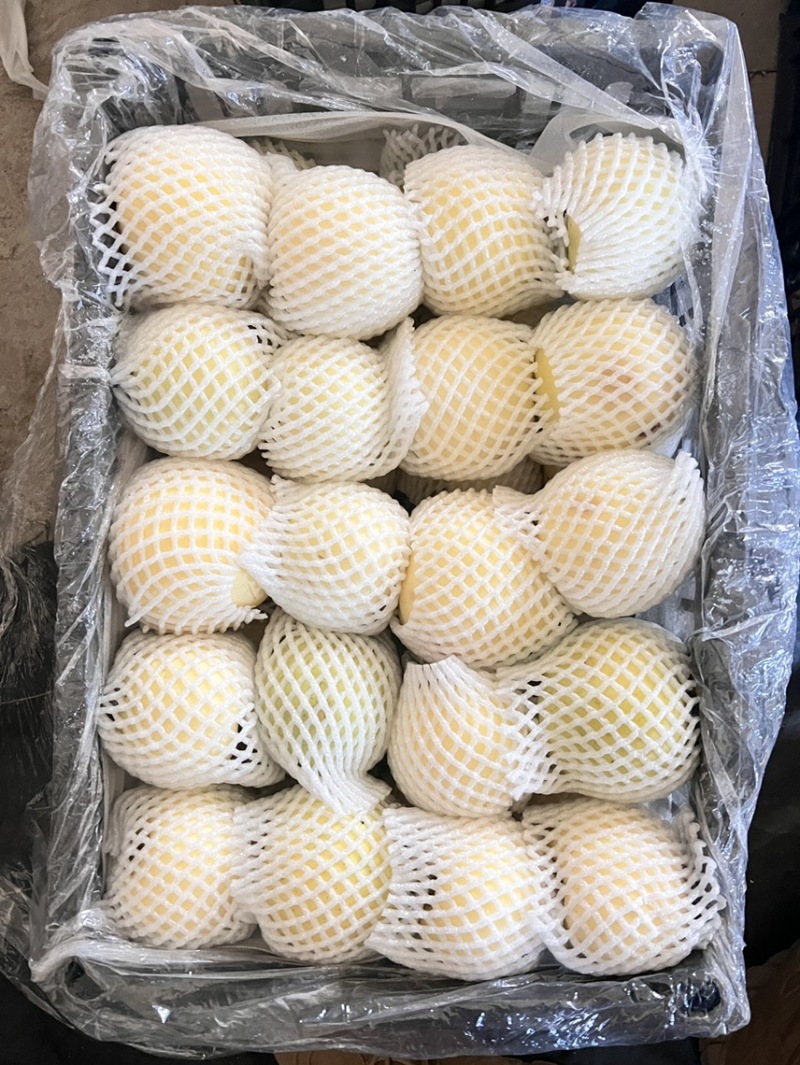 【东北产地辽宁省绥中县黄元帅】大量货源！全国直发👍
