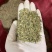 小茴香颜色青一手货源无杂质诚信第一量大从优欢迎购买