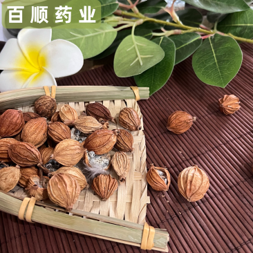 香砂一手货源批发各种香料大料批发质量保证产地好货