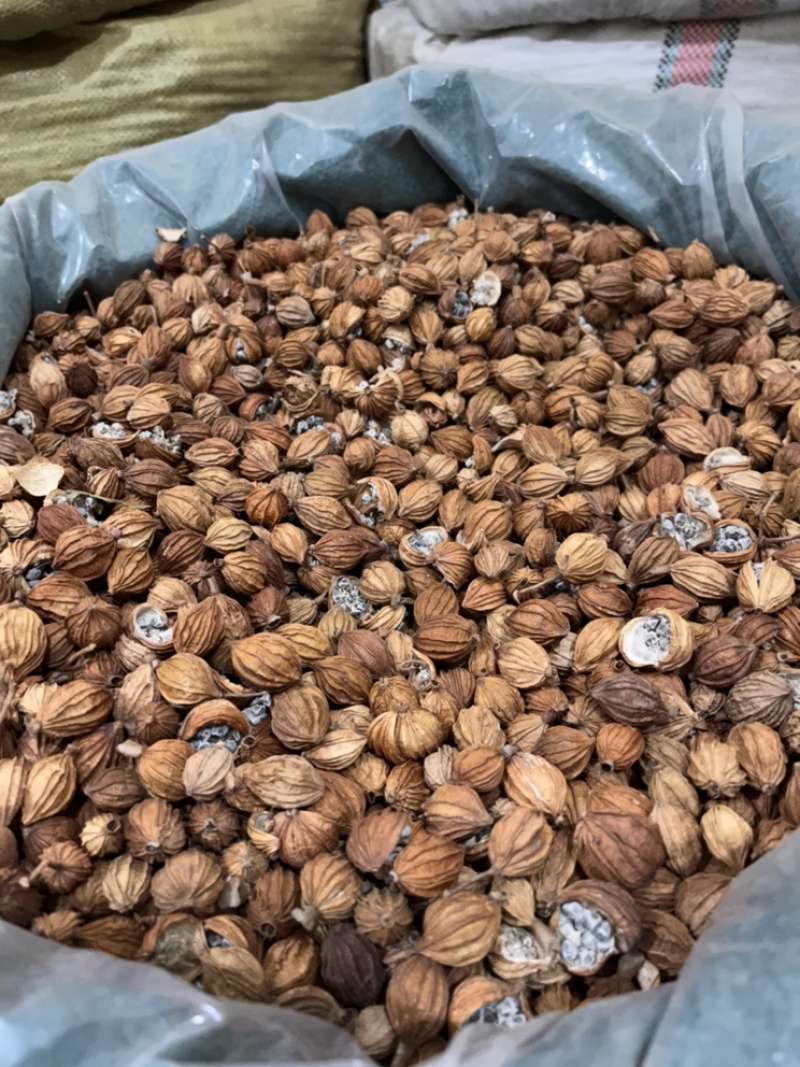 香砂一手货源批发各种香料大料批发质量保证产地好货