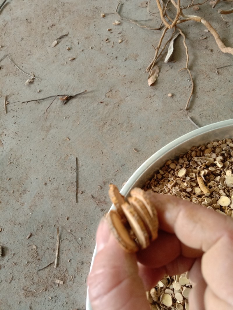 两面针，中药材两面针，自然林下生长，纯野生两面针根部