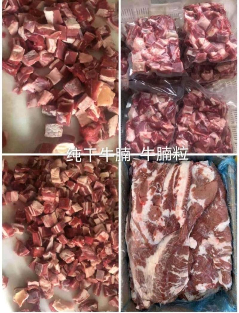纯干牛腩现货供应大量现货，可定做切块，各种规格。