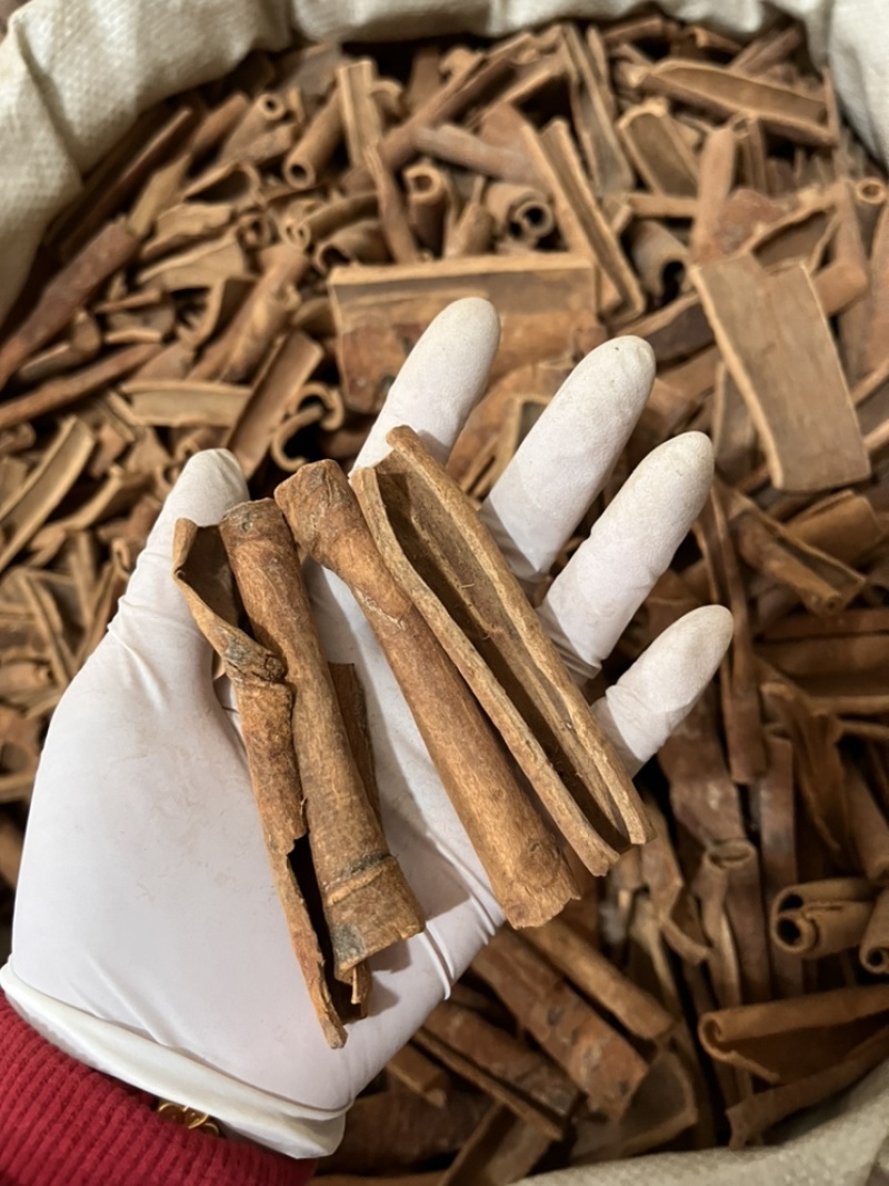 肉桂桂筒桂皮中药材香料卤料批发一手货源。欢迎选购