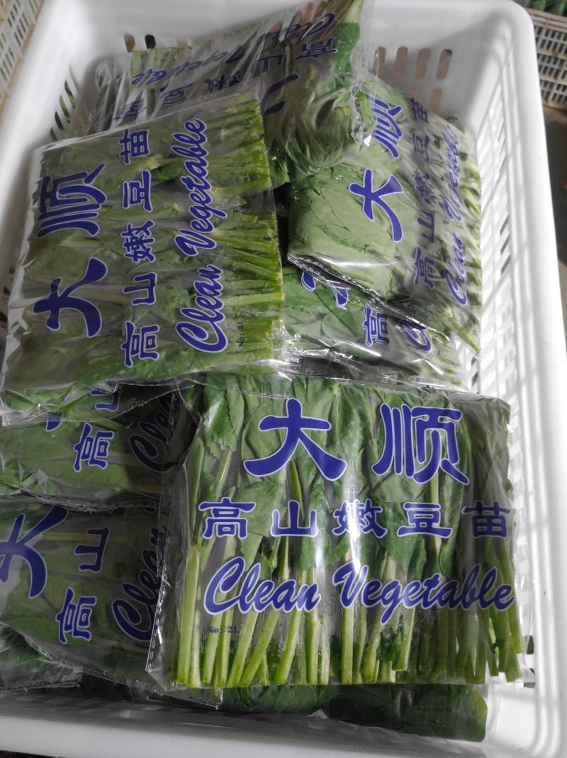 豌豆苗、豌豆尖、地栽苗，现采现发，欢迎各档口老板砸单！
