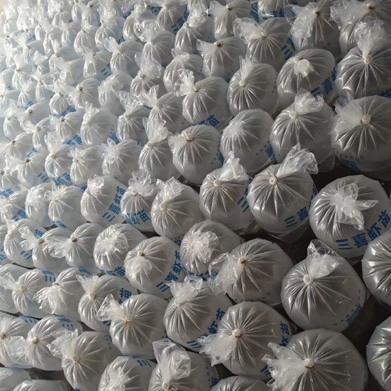 （热销）南美白对虾虾苗基围虾虾苗淡水虾苗一代快大虾苗包邮