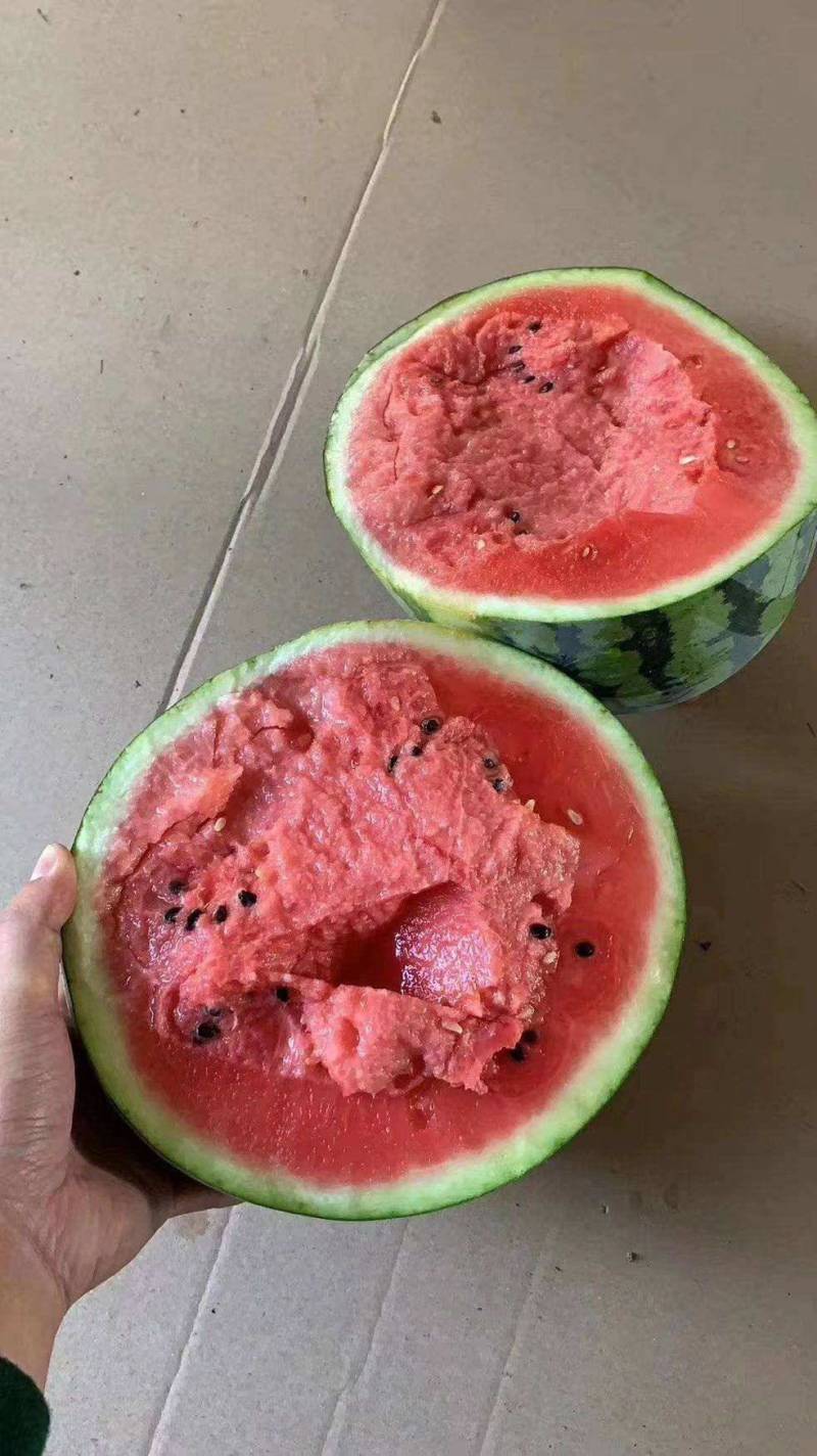 甜王西瓜沙土地种植糖度高皮薄汁甜视频看货等您来电