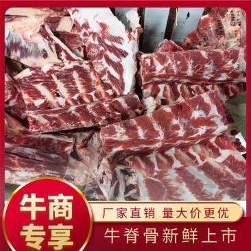 【推荐】牛脊骨新鲜上市，自助餐厅专用，厂家直销欢迎采购