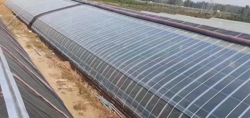 养殖大棚种植大棚都可定做连体棚保温棚暖棚成套大棚