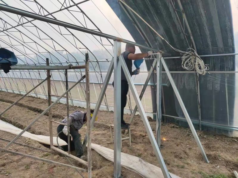 养殖大棚种植大棚都可定做连体棚保温棚暖棚成套大棚