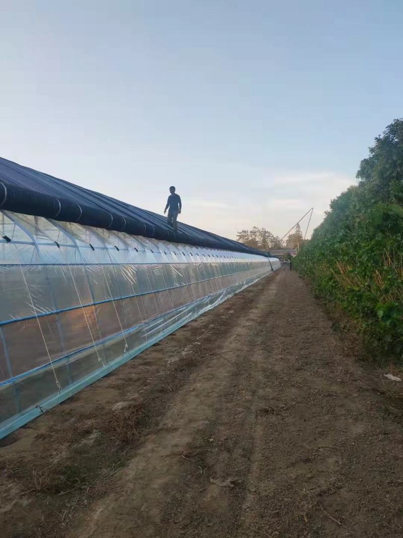养殖大棚种植大棚都可定做连体棚保温棚暖棚成套大棚