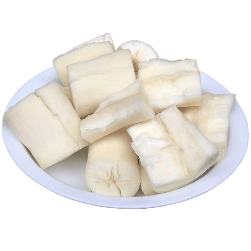 广西食用木薯种子面包薯黄肉薯苗，新鲜发货木薯茎