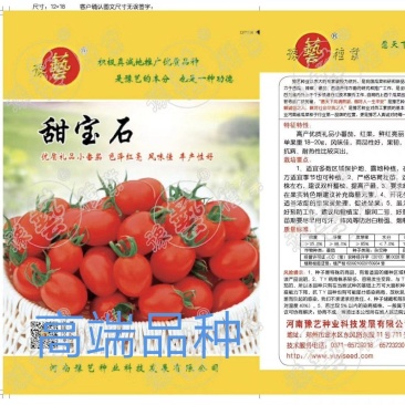 甜宝石礼品小番茄耐裂果耐热抗病单果重20克囗感好易管理