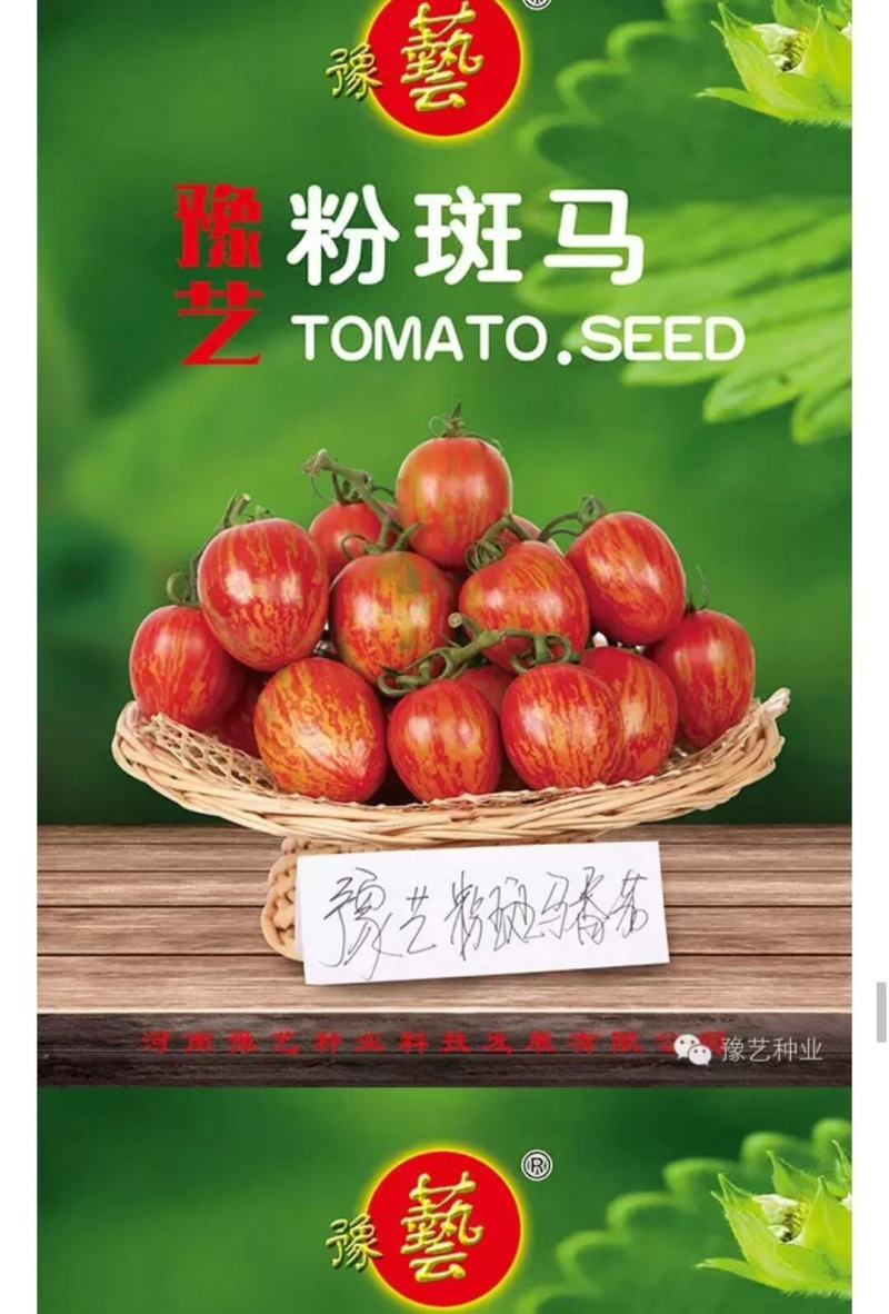 甜宝石礼品小番茄耐裂果耐热抗病单果重20克囗感好易管理