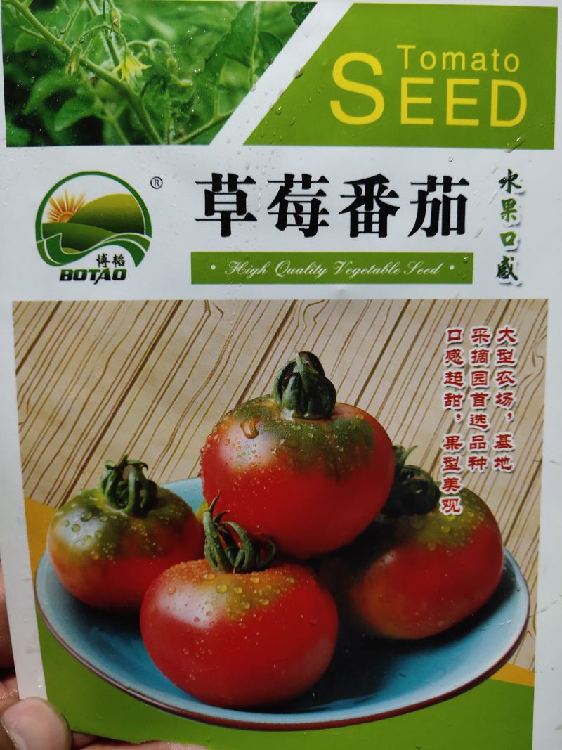 甜宝石礼品小番茄耐裂果耐热抗病单果重20克囗感好易管理