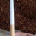 胡辣椒贵州柴火糊辣椒