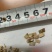 广西玉林桂皮，桂枝片粒产地直发价格实惠量大从优