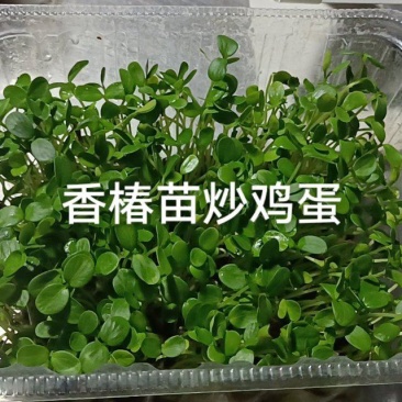 可以下定单生产