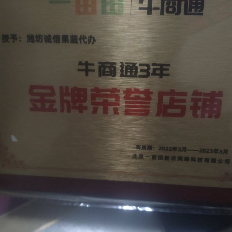 醇奶精品小西瓜，糖度高小薄皮大红洋纯黑籽质量保证代发全国