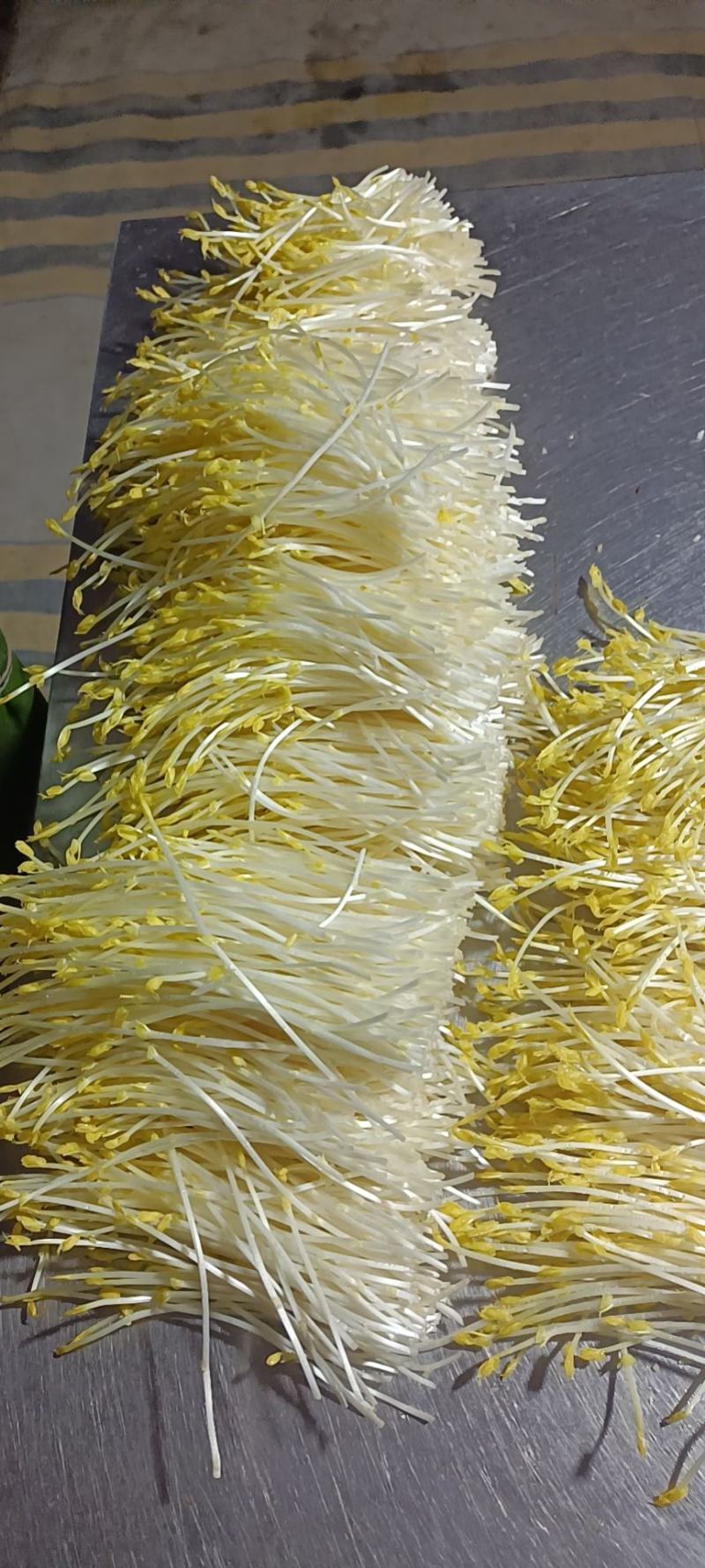 芽苗类，接受定单生产
