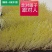 芽苗类，接受定单生产