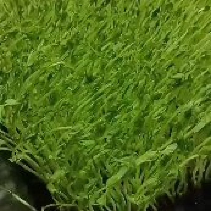 同城可以定单生产