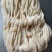 水发百叶牛白百叶，干净，没有水，牛白叶价格优惠