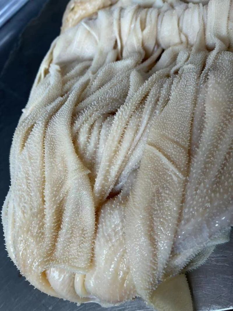 水发百叶牛白百叶，干净，没有水，牛白叶价格优惠