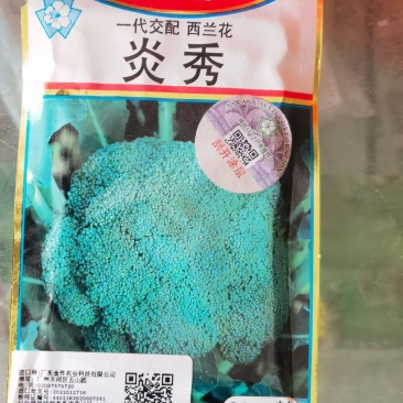 炎秀西兰花种子中熟花球深绿花粒大小均匀细腻商品性强