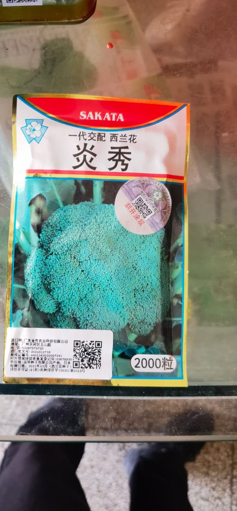 炎秀西兰花种子中熟花球深绿花粒大小均匀细腻商品性强