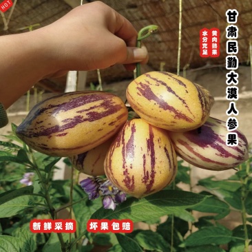 甘肃民勤大漠人参果，皮薄肉厚水分足，口感清香，营养丰富