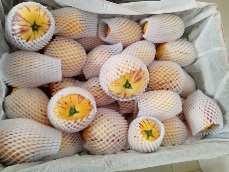 甘肃民勤大漠人参果，皮薄肉厚水分足，口感清香，营养丰富