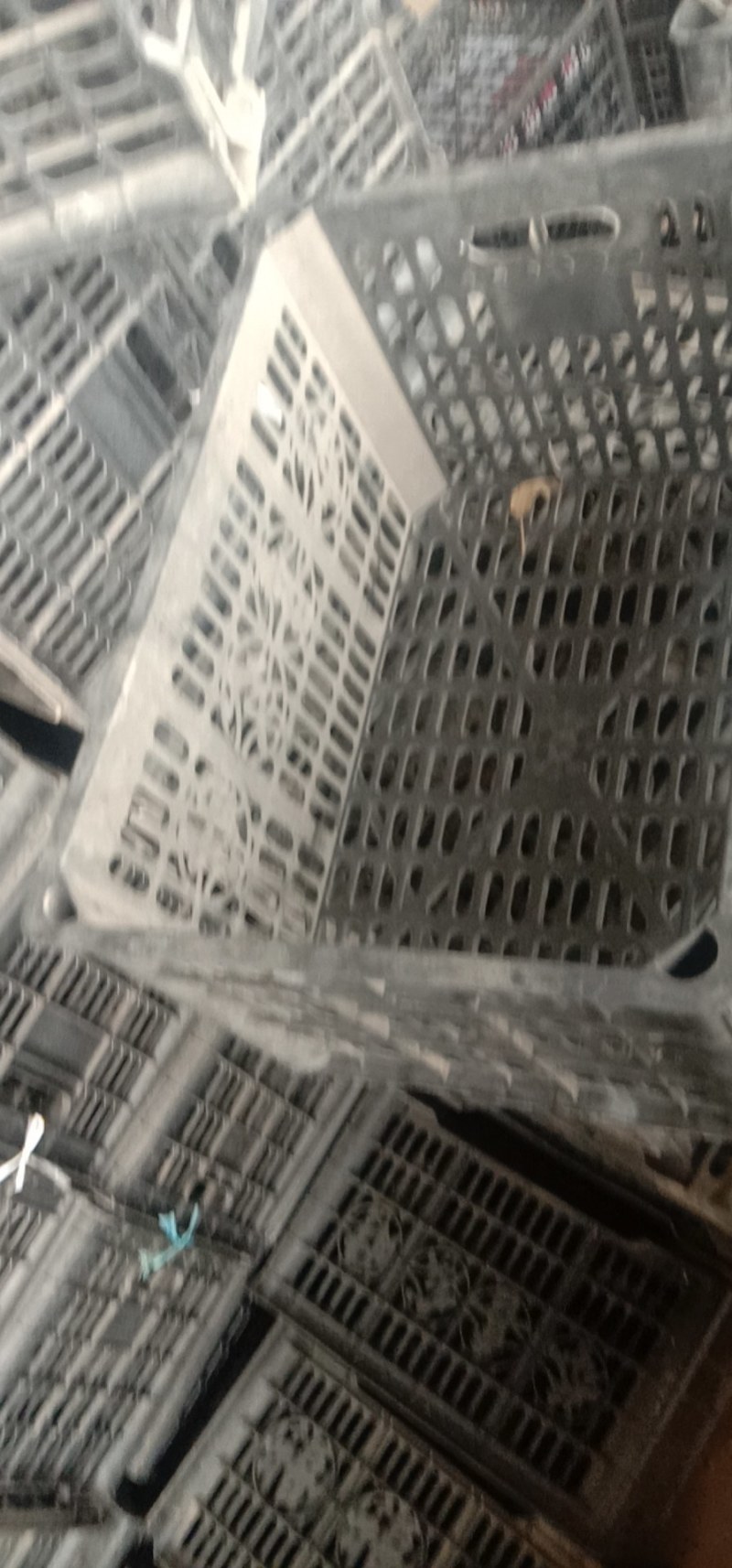 长年底价出售一律黑框子