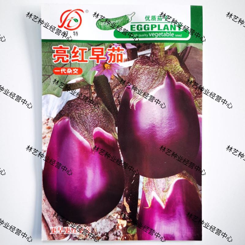好特亮红早茄茄子种子早熟高产抗病耐寒抗性好紫圆茄种籽