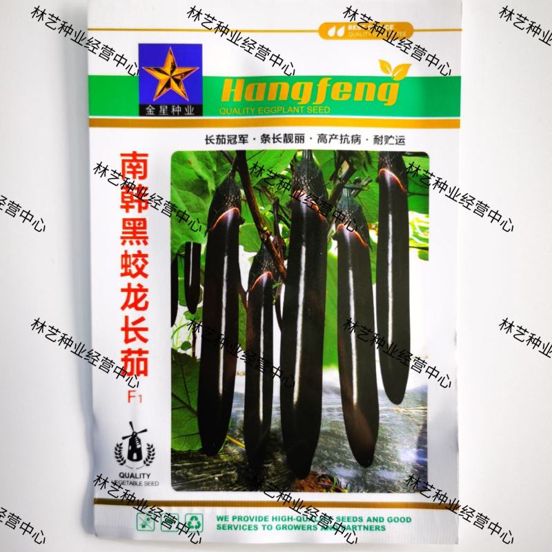 南韩黑蛟龙长茄种子早熟高产抗病耐贮运适广性强茄子种籽大田