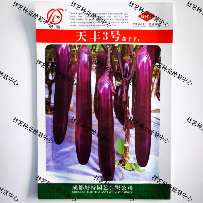 好特天丰3号茄子种子中熟深紫高温不变色耐贮运抗病高产