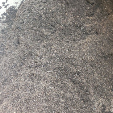 松针腐殖土售卖，花卉、果蔬、中药材种植的沃土
