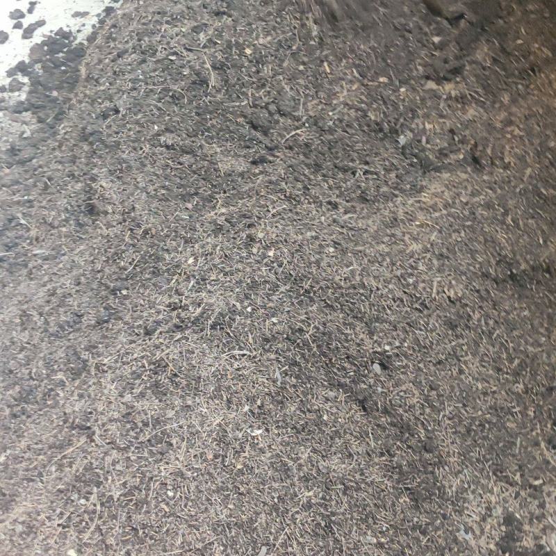 松针腐殖土售卖，花卉、果蔬、中药材种植的沃土