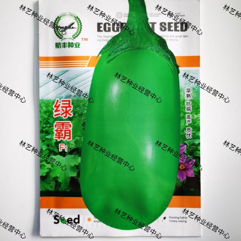 航丰绿霸茄子种籽早熟大果青色矮茄抗病强西安绿茄种子大田用