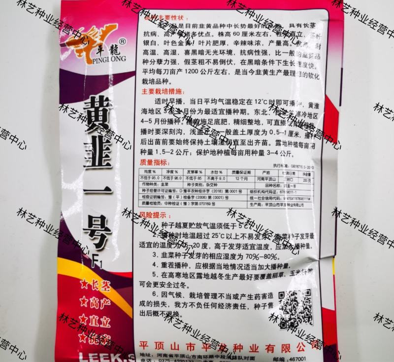 优质韭黄种子黄韭一号种子富韭黄金杆黄韭黄种子抗寒抗病