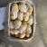 荷兰十五土豆各种标准各种包装满足客户要求