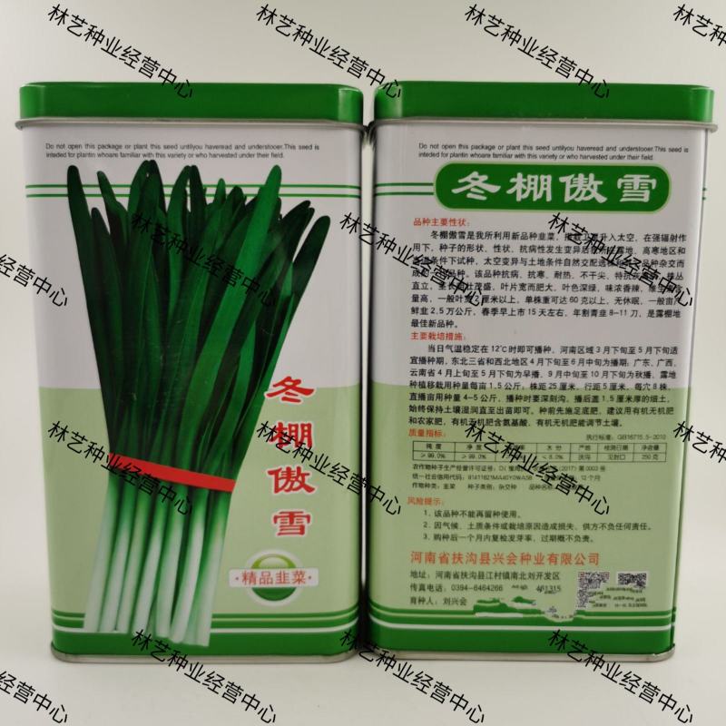 冬棚傲雪韭菜种子抗寒抗病高产蔬菜种子四季种植多次采韭菜籽