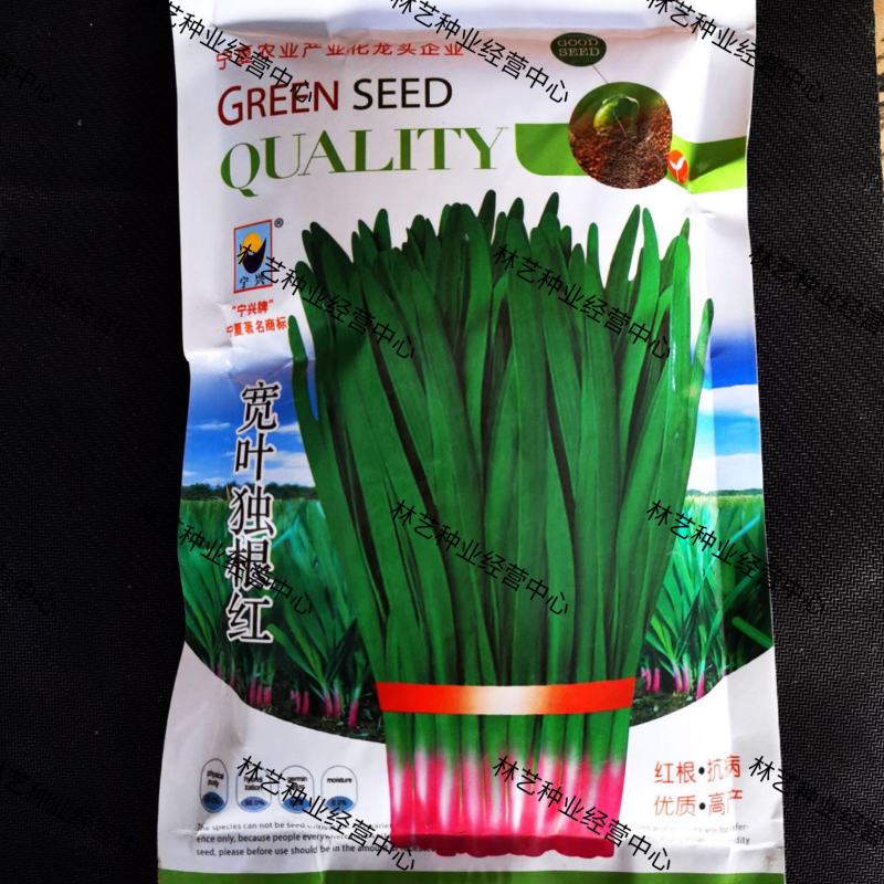 红根韭菜籽种宽叶独根红高产耐寒抗病大棚露天杂交蔬菜种子