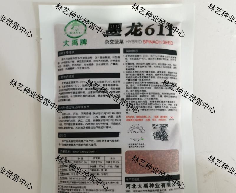 菠菜种子黑龙611菠菜种籽黑美人菠菜籽春秋冬季大棚种植