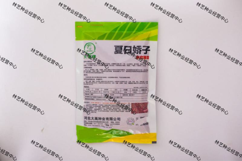 大禹牌夏日娇子菠菜种子春夏秋季菠菜种子抗病耐热寒菠菜种籽