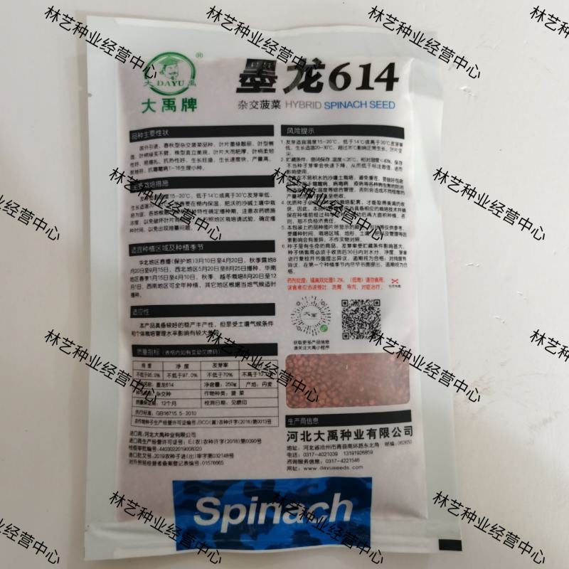 大禹墨龙614菠菜种子大叶种子四季蔬菜春秋冬阳台耐寒种籽