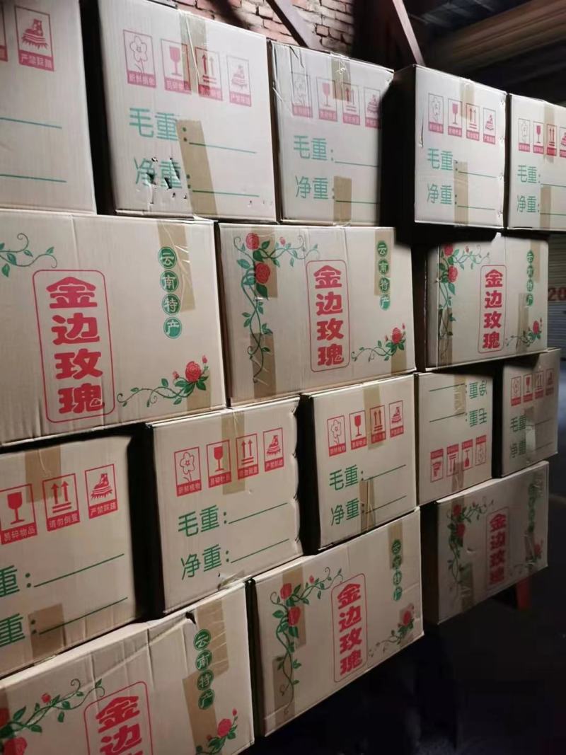 云南特产金边玫瑰花特级精选新货头茬花颜色漂亮实力大货供应