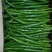 线椒，川椒，大量上市中，各种辣椒🌶️。