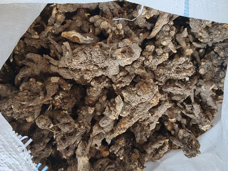 野生北苍术、纯野生北苍术。符合国家药典标准高含量！